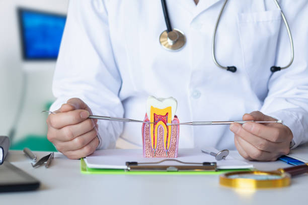 Best Emergency Treatment for Dental Infections or Abscesses in Rincon Valley, AZ